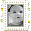 Photo Frames - Name Border: Bugs